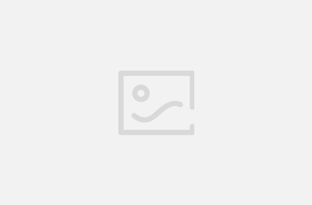 WebTerm
